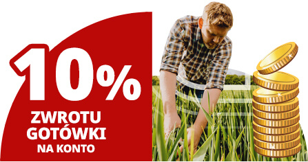 10% zwrotu gotówki na konto