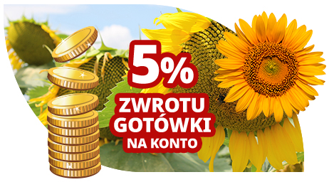 Kup wcześniej i zyskaj więcej!