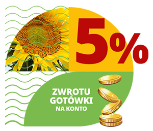 10% zwrotu gotówki na konto