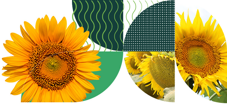 Zyskaj nawet 10% zwrotu gotówki na konto!