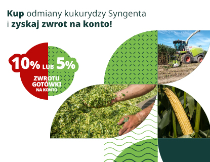 Zasiej z Syngenta - Kukurydza 2025