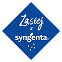 Zasiej z Syngenta