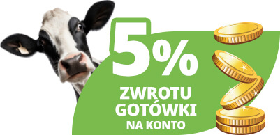 5% zwrotu gotówki na konto